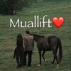 Telegram kanalining logotibi muallift — 𝙼𝚞𝚊𝚕𝚕𝚒𝚏𝚝