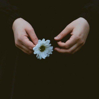 Логотип телеграм канала @mub1wme — mub1wme