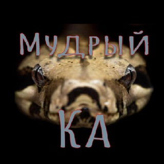 Логотип телеграм канала @mudrij_ka — Мудрый Ка | Задачки | Головоломки