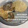 Логотип телеграм канала @muhomor113 — Продам Мухомор 13 rus
