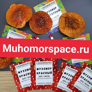 Логотип телеграм канала @muhomorspace — 🍄MUHOMORSPACE.RU | микродозинг мухоморами опт/розница 🍄