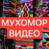 Логотип телеграм канала @muhomorspacevideo — MUHOMORSPACE Video мухоморы видео ответы