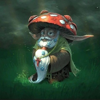 Логотип телеграм канала @muhomory_dnr — Мухоморы в ДНР и ЛНР