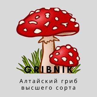 Логотип телеграм канала @muhomoryvz — КУПИТЬ МУХОМОРЫ АМАНИТА МИКРОДОЗИНГ