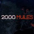 Logo saluran telegram mules2000 — 2000MULES dokumentary is NOT