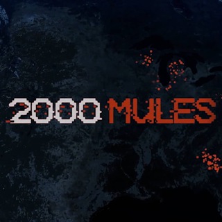 Логотип телеграм канала @mules2ooo — 2000MULES ✪