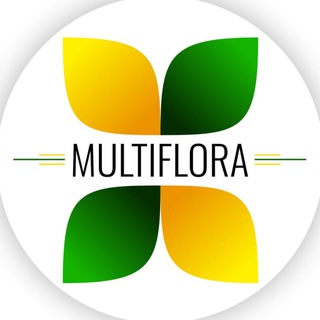 Логотип телеграм канала @multiflora_uz — 🟢🟡 MULTIFLORA 🟡🟢