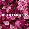 Логотип телеграм канала @multiflowers — MULTI FLOWERS