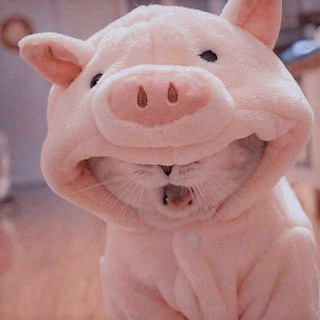 Логотип телеграм канала @multimedia666 — Multimedia