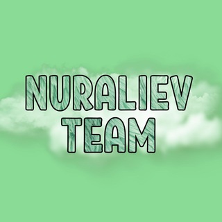 Логотип телеграм канала @multimillioneruz — Nuraliev Team