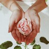 Логотип телеграм канала @multiwomanclub — Женский Сад. Канал