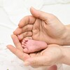 Логотип телеграм канала @mummemoir — МамаМемуар