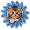 Логотип телеграм канала @mumspostcards — Мамины открытки