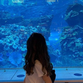 Logotipo del canal de telegramas munis058 - Munisa's Blog💙🌌🌊