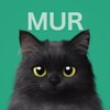 Логотип телеграм канала @murchats — Мурчат