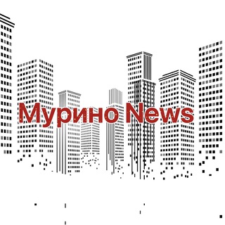 Логотип телеграм канала @murinonovosti — Мурино News