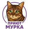 Логотип телеграм канала @murkavlg — Частный приют "Мурка" (Волгоград)