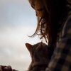 Логотип телеграм канала @murketingforbreeders — Maine Koshka про муркетинг