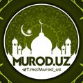 Logo saluran telegram murod_uz — Murod.uz