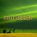 Logo saluran telegram murotal — Murottal