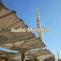 Logo saluran telegram murotall — Audio murottal