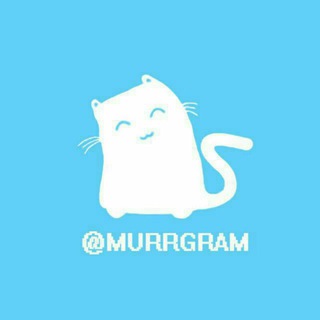 Логотип телеграм канала @murrgram — Murrgram