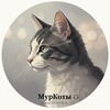 Логотип телеграм канала @murrrrrrrkot — 🐈 МурКоты