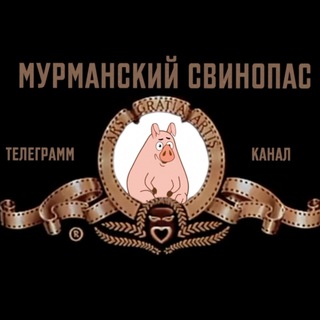 Логотип телеграм канала @mursvinopas — Мурманский свинопас