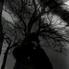 Логотип телеграм канала @murzzzikk — мурzик ㅤ