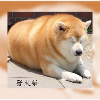 电报频道的标志 musclestock — 股海筋肉人TG頻道