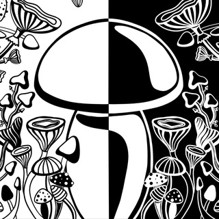 Логотип телеграм канала @mushroom_culture — MUSHROOM CULTURE