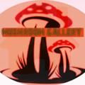 Logo saluran telegram mushroomgalleryy — MUSHROOM GALLERY 🍄🎁