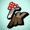 Логотип телеграм канала @mushrooms_of_life — Грибы Жизни