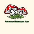 Logo saluran telegram mushroomsaustraliabud — Pot Sydney Mushrooms Kush Bud🍄🌲🚚