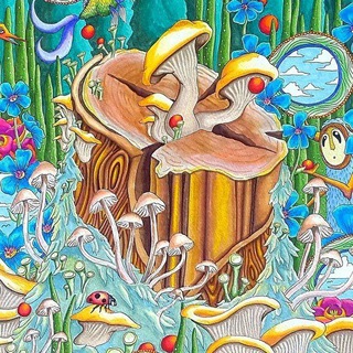 Logo of telegram channel mushroomslsddmttrippy — Mushroomland