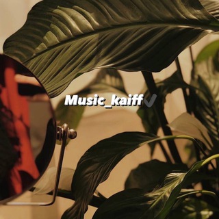 Логотип телеграм канала @music_kaiff — 𝑴𝒖𝒔𝒊𝒄_𝑲𝒂𝒊𝒇𝒇✔