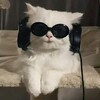Логотип телеграм канала @musicalsmeshnyavki — Музыкальные смешнявки