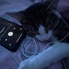 Логотип телеграм канала @musicdhub — MusicDhub