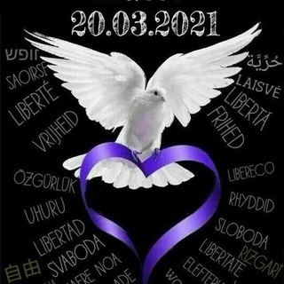 Logo des Telegrammkanals musicforfreedomberlin - Music for Freedom