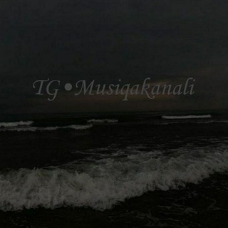 Логотип телеграм канала @musiqakanali — Musiqa Kanali👑🖤