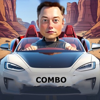 Логотип телеграм канала @musk_empire_combo — Musk Empire - Combo