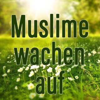 Logo des Telegrammkanals muslimewachenauf - Muslime wachen auf
