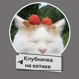 Логотип телеграм канала @musorkanik — "Клубничка на Котике"
