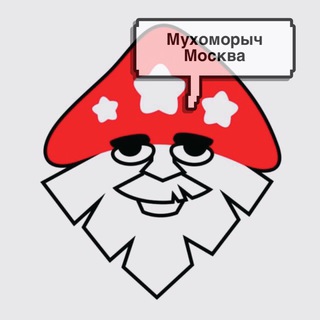 Логотип телеграм канала @muxomorychmoskva — МухоморыЧ Москва