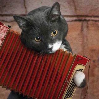 Логотип телеграм канала @muz_oborz — Музыкальный оборзеватель