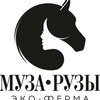 Логотип телеграм канала @muzaruzi — Муза Рузы