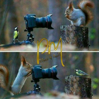 Telegram channel ♡Photo & Music♡ logo