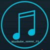 Telegram kanalining logotibi muzikalar_uzmuz_03 — MUZIС .COM