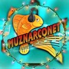 Логотип телеграм канала @muznarconet — 🐬@MuzNarcoNet🐬