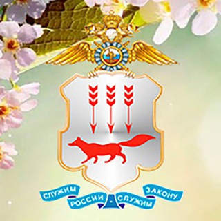 Логотип телеграм канала @mvdrm13 — МВД по Республике Мордовия